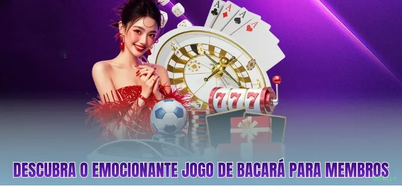 804win Cassino Clássico